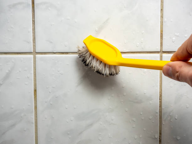 Best Localized Mold Remediation (e.g., coastal areas, humid climates) in Manheim, PA