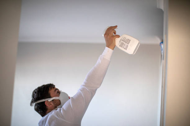 Best Industrial Mold Remediation in Manheim, PA